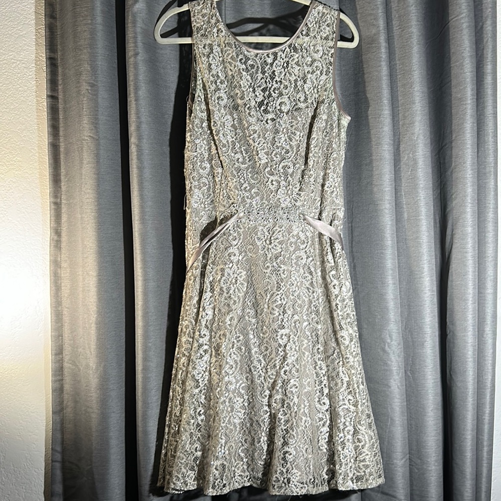 Betsy & Adam Silver / Gun Metal Lace Sequined Dress